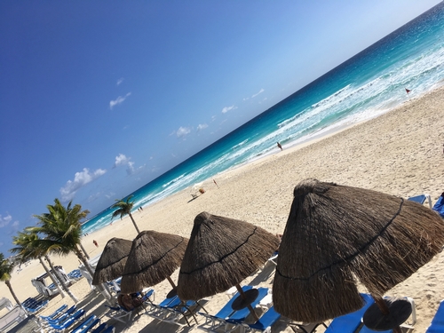 1日1組のパーティー